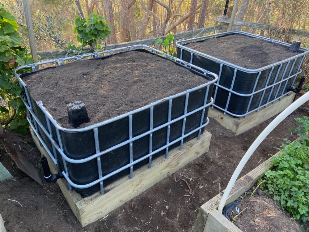 Two freshly filled IBC wicking beds side by side on timber bases at Chewton Bushlands, with a hoop frame arching over them