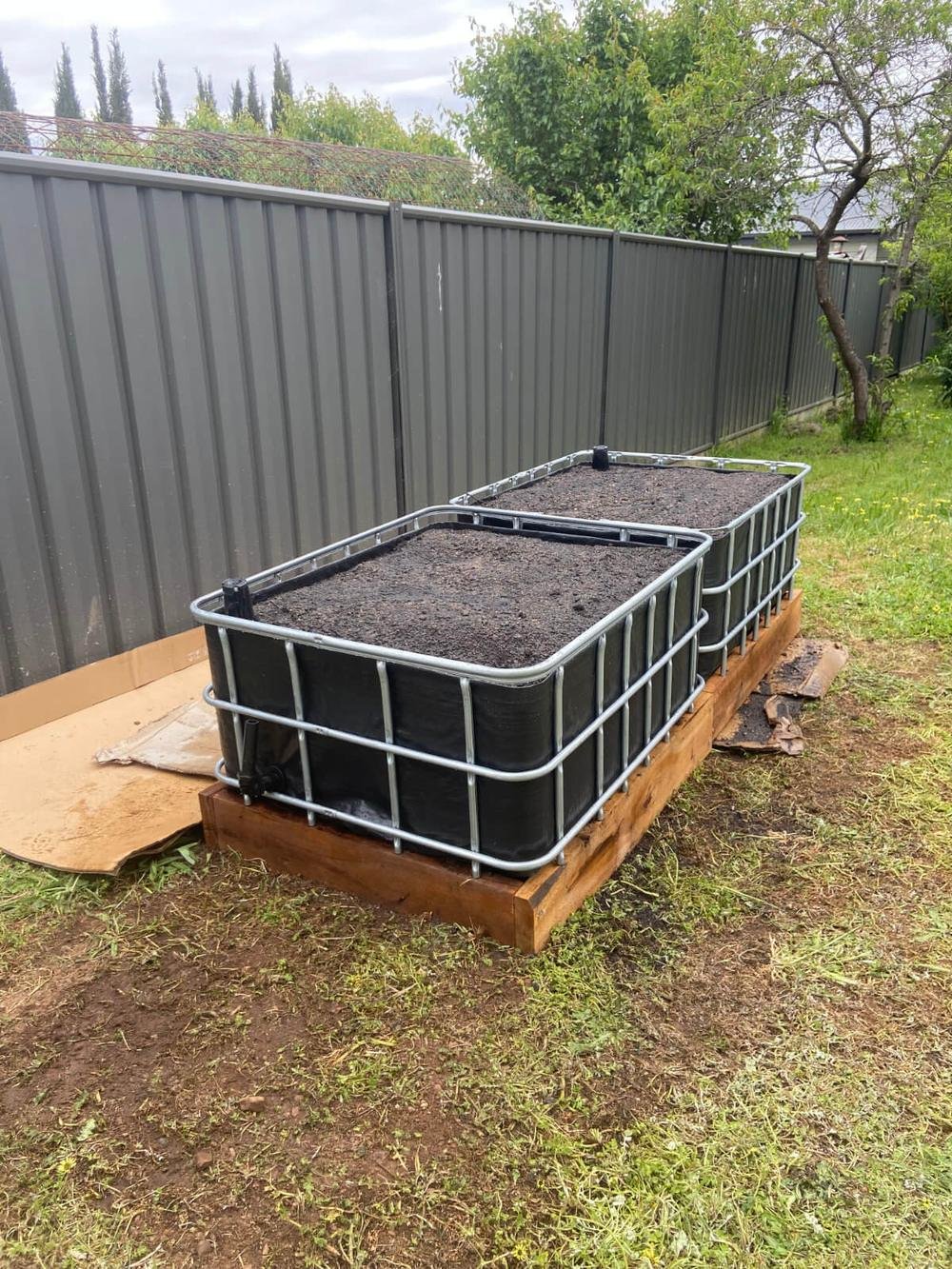 A newly installed IBC wicking bed on a timber base on a Castlemaine lawn, against a colourbond fence