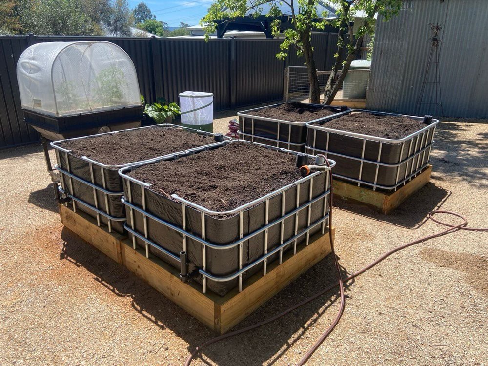 Three freshly built IBC wicking beds on timber bases in a gravelled yard, filled with soil and ready to plant