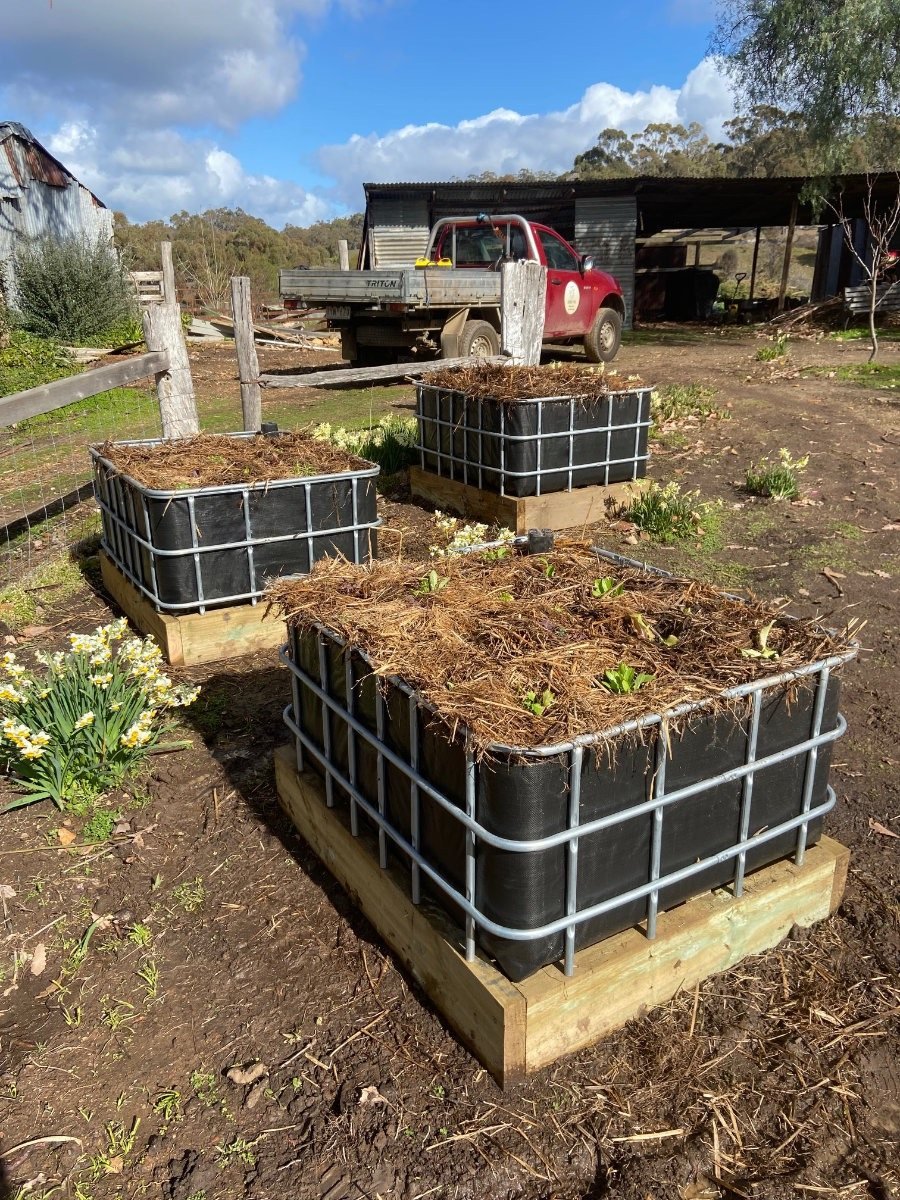 Newly installed wicking beds on a rural property, just filled with soil and mulch